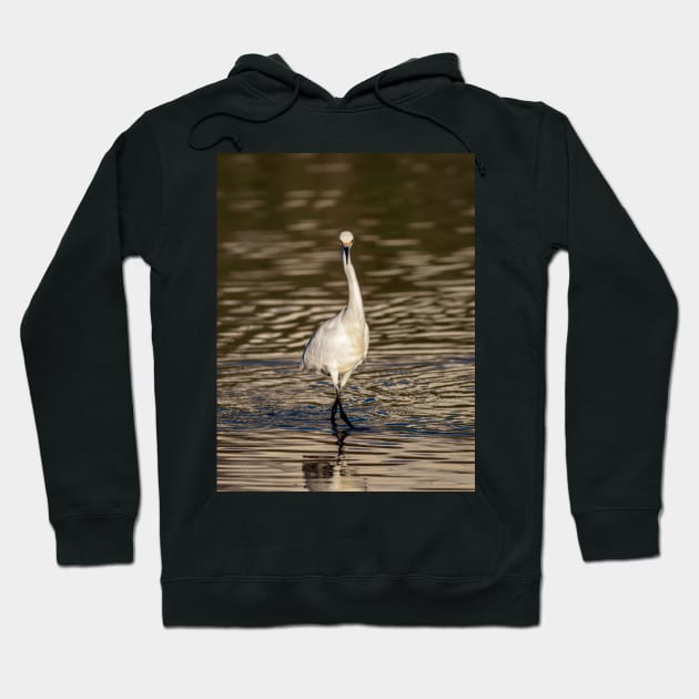 Snowy White Egret Staredown Hoodie by jecphotography